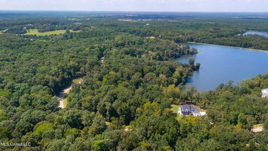 Take advantage of this once-in-a-lifetime opportunity to build - photo 8