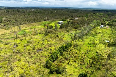 Build your dream home on this 3-acre verdant lot that is ready - photo 5