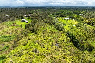 Build your dream home on this 3-acre verdant lot that is ready - photo 6