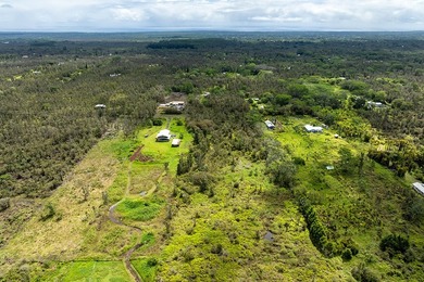 Build your dream home on this 3-acre verdant lot that is ready - photo 7