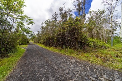 Build your dream home on this 3-acre verdant lot that is ready - photo 8