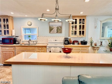 Beautifully updated 2-bedroom, 2-bath manufactured home located - photo 7