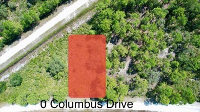 Lake Weohyakapka Lot For Sale in Indian Lake Estates Florida