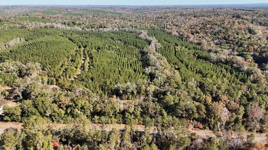 Price Reduction! 118.08 surveyed acres on the Barbour East Ridge - photo 1