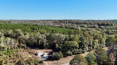 Price Reduction! 118.08 surveyed acres on the Barbour East Ridge - photo 2