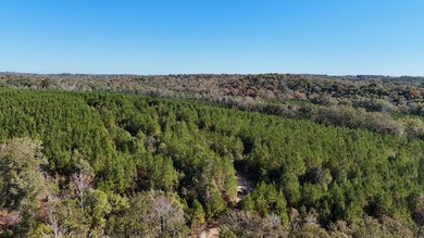 Price Reduction! 118.08 surveyed acres on the Barbour East Ridge - photo 3