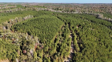 Price Reduction! 118.08 surveyed acres on the Barbour East Ridge - photo 4