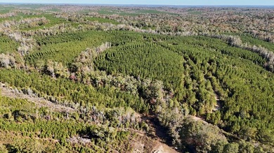 Price Reduction! 118.08 surveyed acres on the Barbour East Ridge - photo 5
