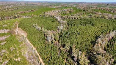 Price Reduction! 118.08 surveyed acres on the Barbour East Ridge - photo 7