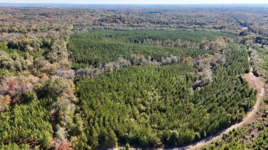 Price Reduction! 118.08 surveyed acres on the Barbour East Ridge - photo 8