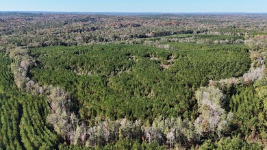 Price Reduction! 118.08 surveyed acres on the Barbour East Ridge - photo 9