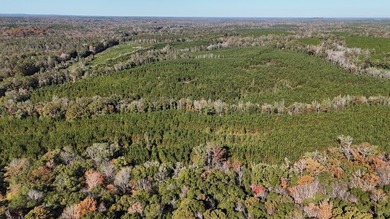 Price Reduction! 118.08 surveyed acres on the Barbour East Ridge - photo 10