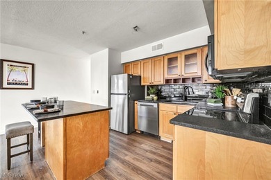 Experience modern and convenient city living in this stylish - photo 11