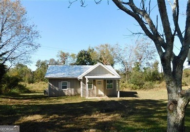 (private lake, pond, coastal) Home For Sale in Nicholson Georgia