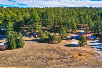 Lake Home For Sale in Florissant, Colorado