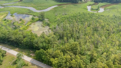 Lake Acreage For Sale in Pentwater, Michigan