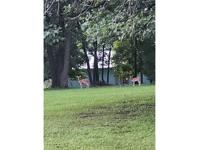 Are you looking for a perfectly level lot, directly on the - photo 6