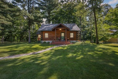 Lake Home For Sale in Newaygo, Michigan