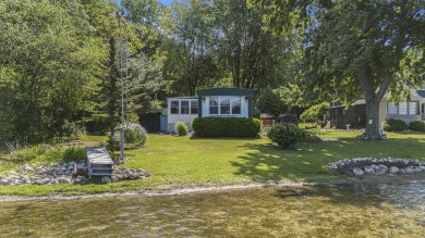Lake Home For Sale in Sand Lake, Michigan