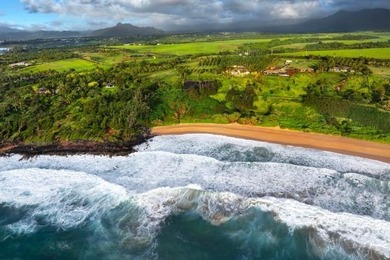 An incredible opportunity to own 6.58 acres of premier bluff-top - photo 1