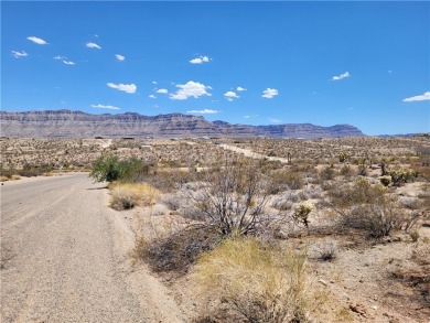 Lake Mead Commercial For Sale in Meadview Arizona
