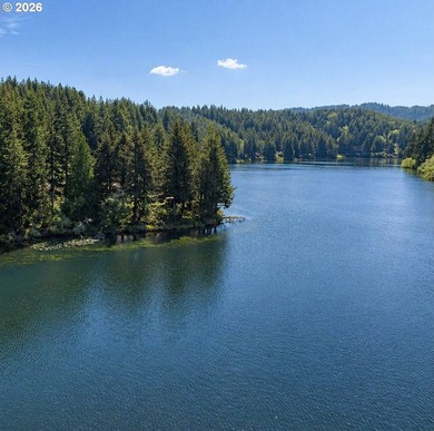 A rare opportunity to own a private lakeside retreat with proven - photo 10