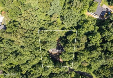 UT parents...your search is over! Nestled on a private wooded - photo 32