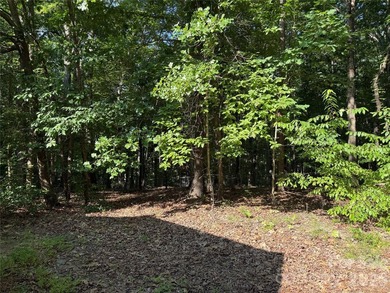 Great opportunity for a small subdivision. Zoning N1A. Lot could - photo 34