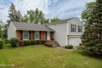 Lake Home Sale Pending in Schaumburg, Illinois