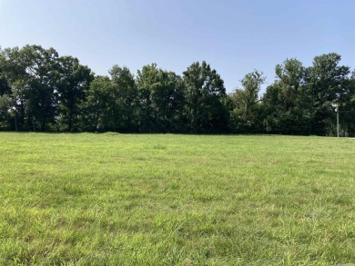 White River - Stone County Lot For Sale in Guion Arkansas