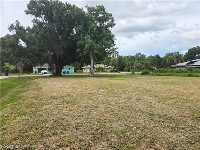 This prime corner lot featuring a large Oak tree is cleared - photo 1