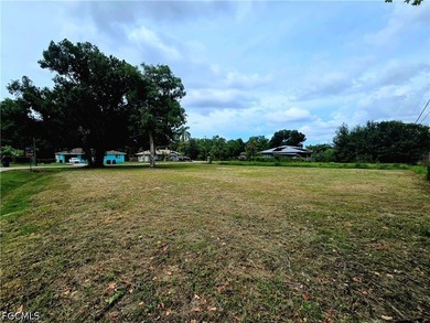 This prime corner lot featuring a large Oak tree is cleared - photo 2