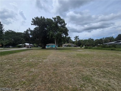 This prime corner lot featuring a large Oak tree is cleared - photo 3