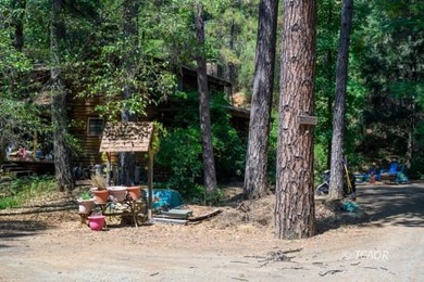 Welcome to your dream home-a stunning log cabin blending classic - photo 41