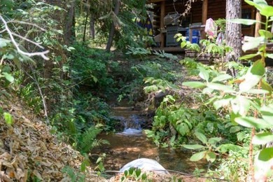 Welcome to your dream home-a stunning log cabin blending classic - photo 47