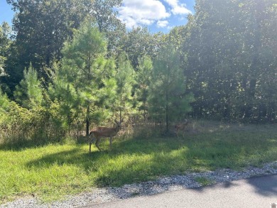 Lake Lot For Sale in Murray, Kentucky