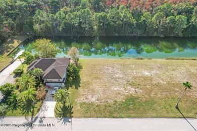 Preserve Lot For Sale in Hernando Beach Florida