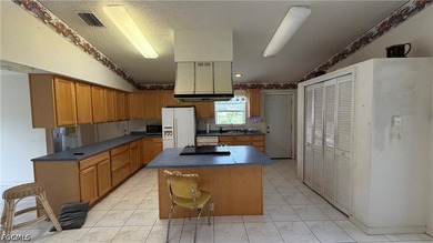 Half an acre with a 2,500+ sqft home in Cape Coral doesn't come - photo 5
