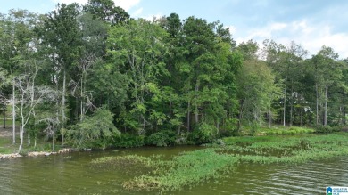 Lake Acreage For Sale in Ashville, Alabama