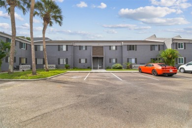 Lake Condo For Sale in Tampa, Florida