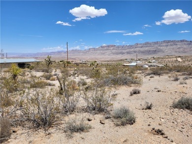 Lake Mead Lot For Sale in Meadview Arizona