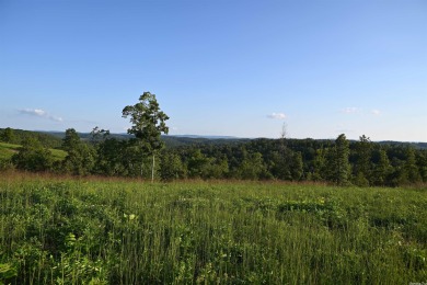 Buffalo River Acreage For Sale in Saint Joe Arkansas