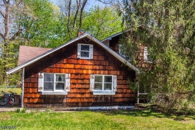 Exceptional opportunity to renovate, restore, or completely - photo 3