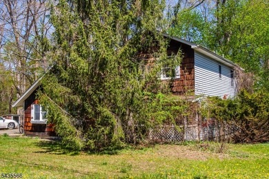 Exceptional opportunity to renovate, restore, or completely - photo 4