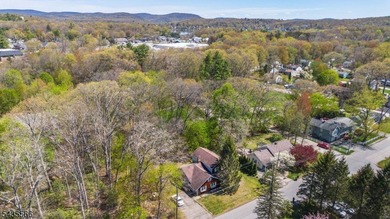 Exceptional opportunity to renovate, restore, or completely - photo 10