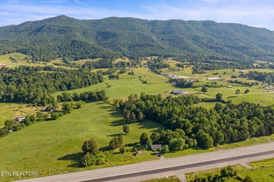 Investment Opportunity on 1.5 Acres - 6555 General Carl Steiner - photo 2