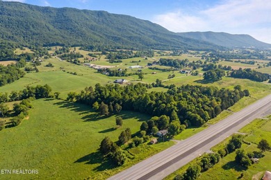 Investment Opportunity on 1.5 Acres - 6555 General Carl Steiner - photo 3