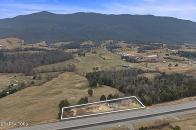 Investment Opportunity on 1.5 Acres - 6555 General Carl Steiner - photo 4