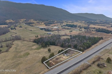 Investment Opportunity on 1.5 Acres - 6555 General Carl Steiner - photo 5