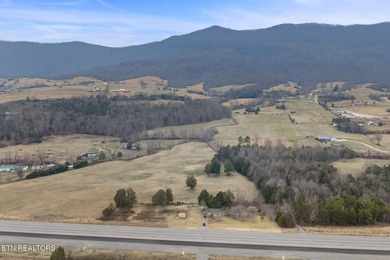 Investment Opportunity on 1.5 Acres - 6555 General Carl Steiner - photo 9